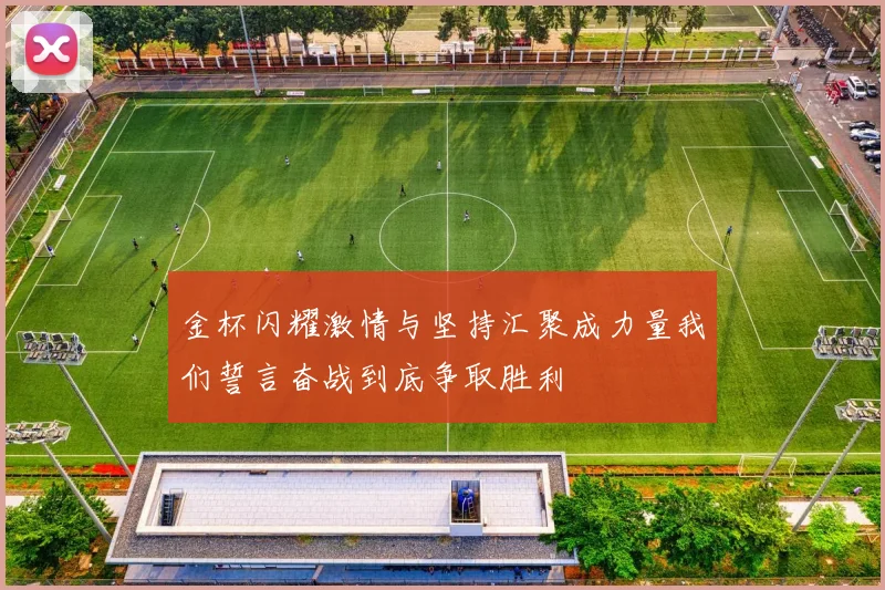 金杯闪耀激情与坚持汇聚成力量我们誓言奋战到底争取胜利
