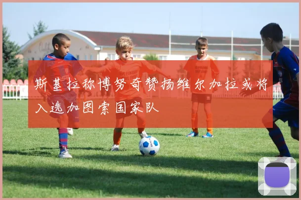 斯基拉称博努奇赞扬维尔加拉或将入选加图索国家队